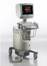 �����g�f�f���u